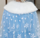 Frozen Winter Costume Dress