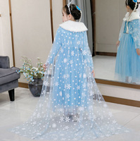 Frozen Winter Costume Dress