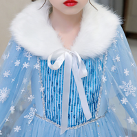 Frozen Winter Costume Dress