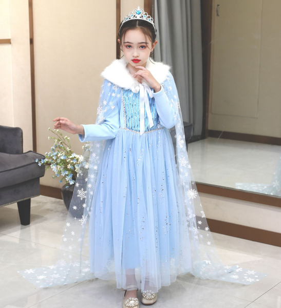 Frozen store costume dress